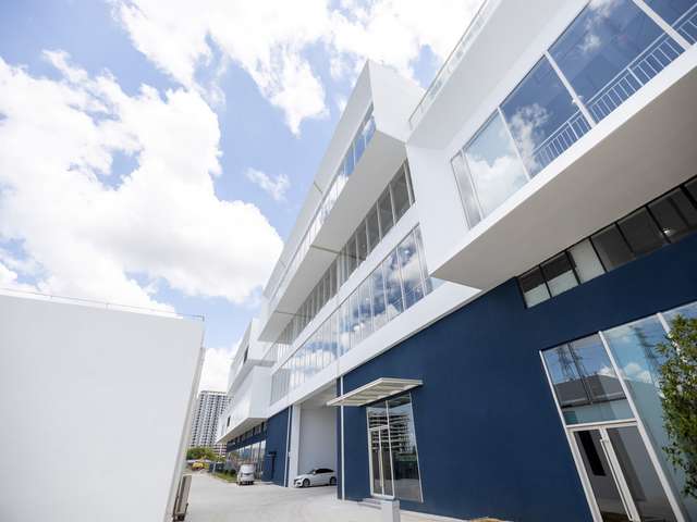 可食用温室龟厂家推荐