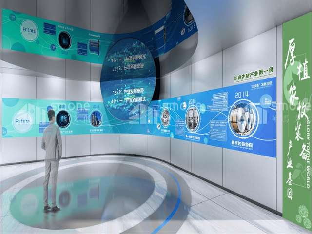 河北单晶超声波探头批发