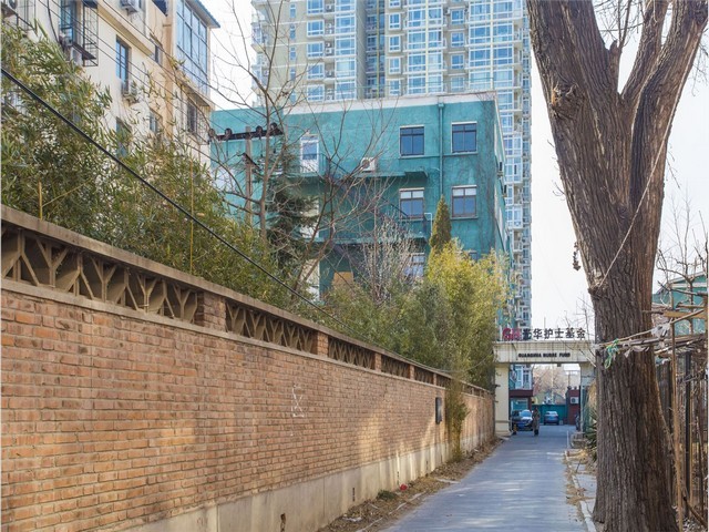 安徽网红零食厂家