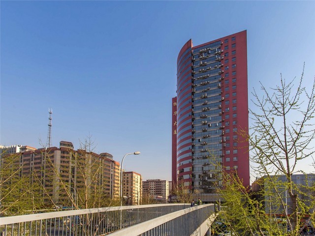 河南小型撕碎机产品介绍